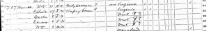 1870 US Census, West Virginia, Brooke County, Wellsburg, Wm Hassner Household detail